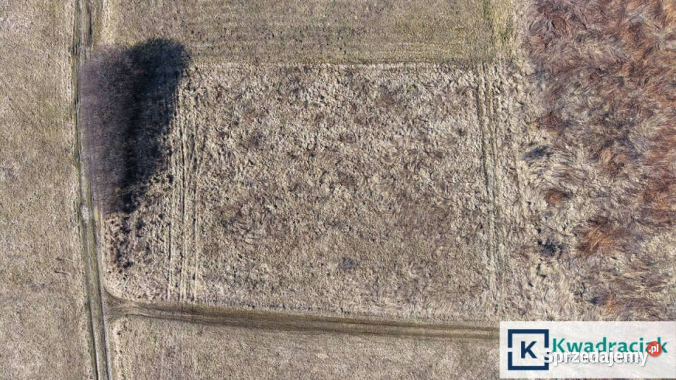 Grunt 900m2 Nowy Glinik sprzedam