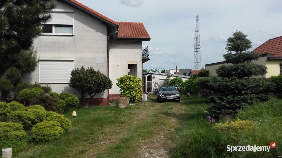 dam na wynajem Ostrów wlkp Ostrów Wielkopolski