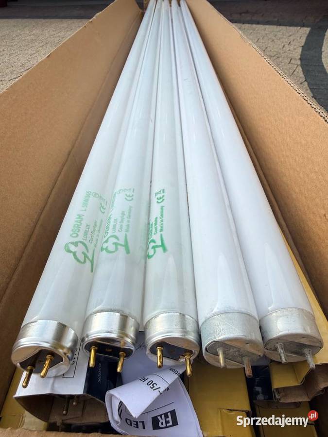 ŚWIETLÓWKA ŚWIETLÓWKI LINIOWE T8 L58W865 OSRAM Żarówki i świetlówki Chwaszczyno