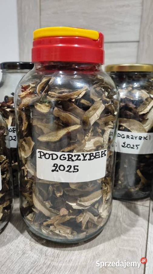Podgrzybki suszone Zbiór 2025r 25 100g Gliwice sprzedam
