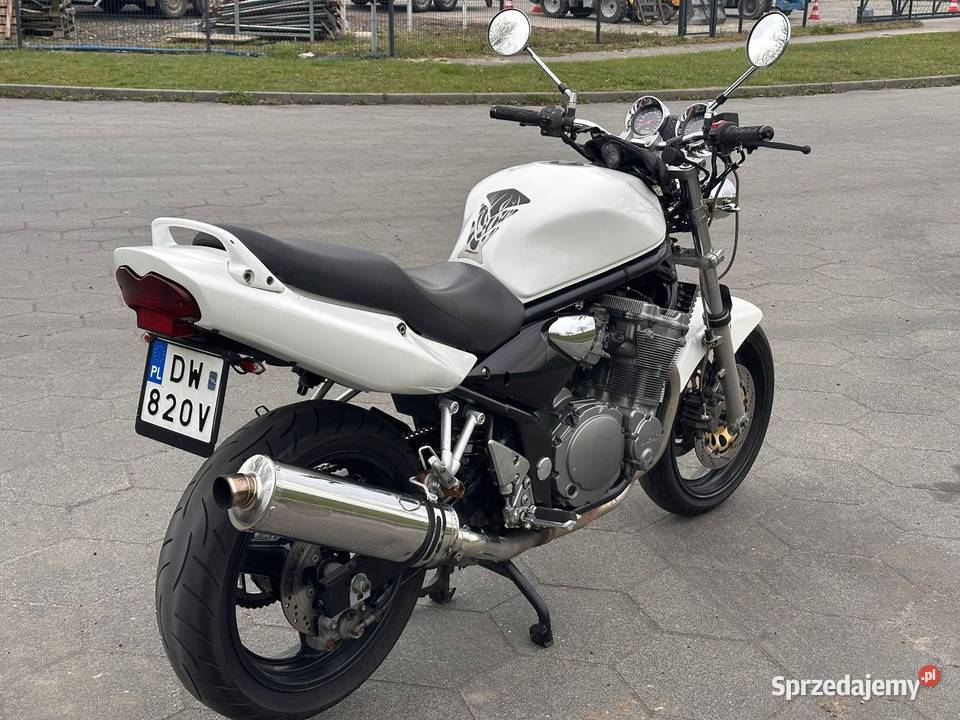 Suzuki Bandit Leszno