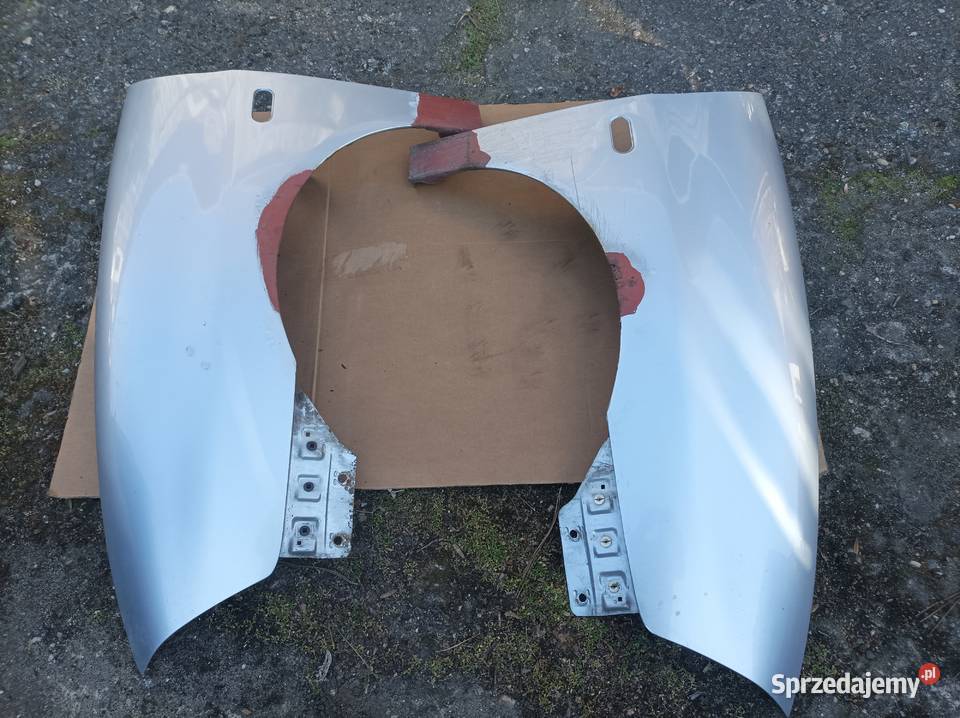 Sprzedam błotniki przednie do Seat Ibiza 6L Błotniki Opole