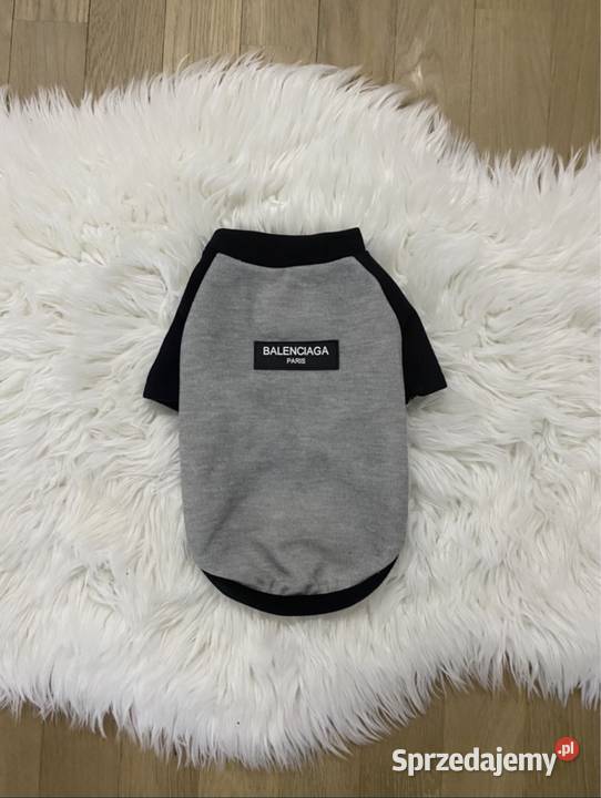 Nowa bluza ubranko psa Balenciaga L3XL Warszawa sprzedam