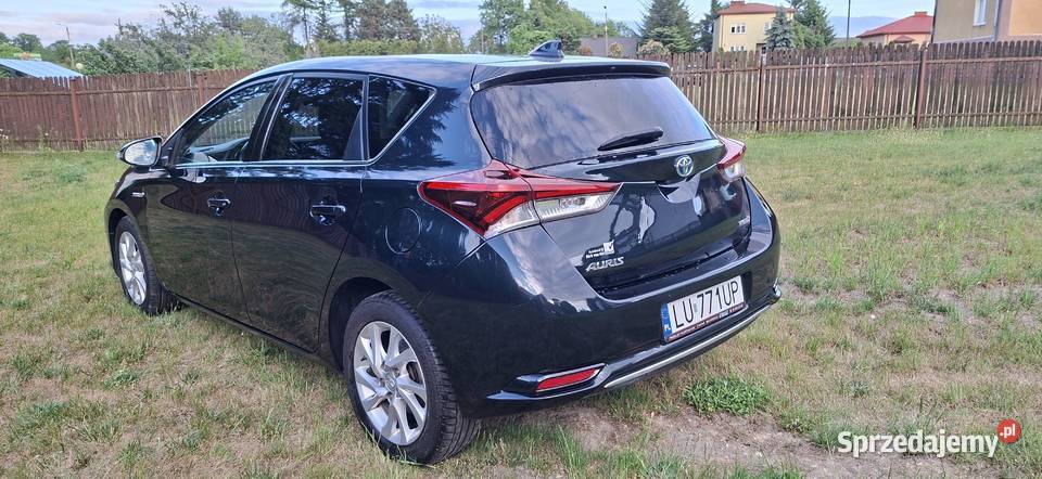 Auris18Hybryda bogataOpcja 1WŁwPL Lublin