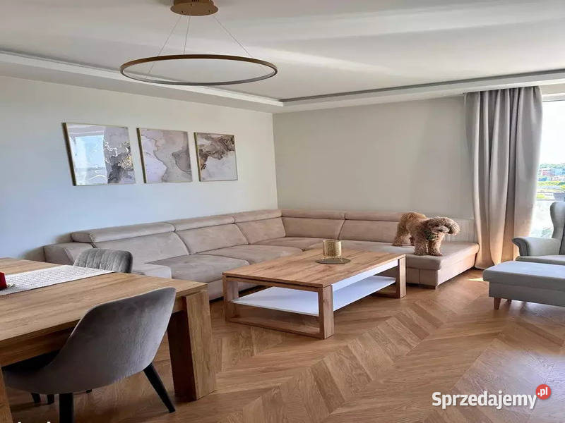 2 pokoje wolne zaraz Gdańsk Lawendowe Wzgórze pomorskie