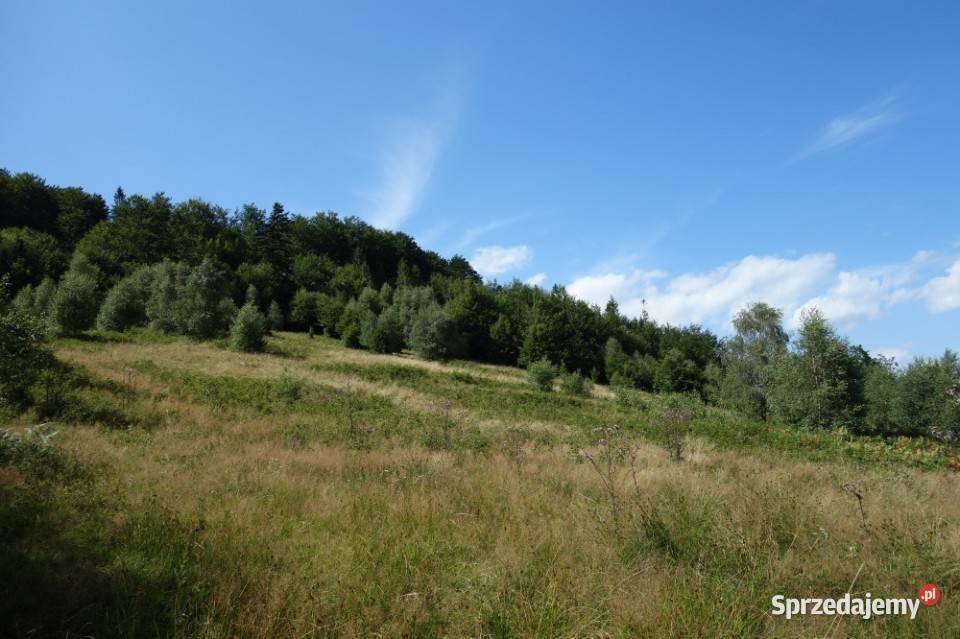 Brenna 253 ha działka inwestycyjna wyciągu 25300m2 Warszawa