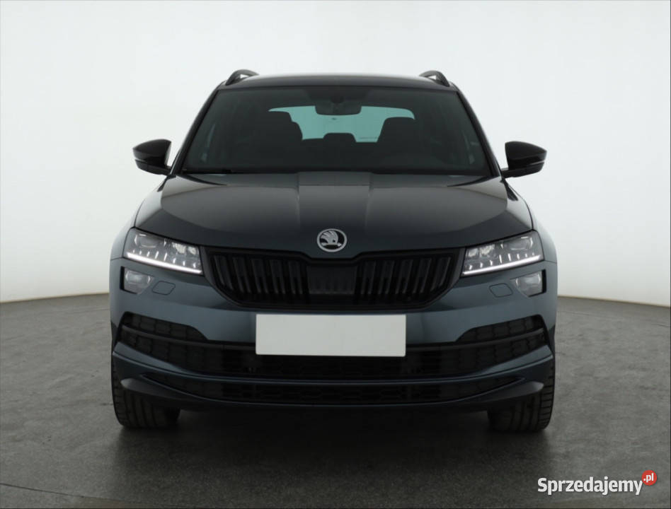 Skoda Karoq 15 TSI szary