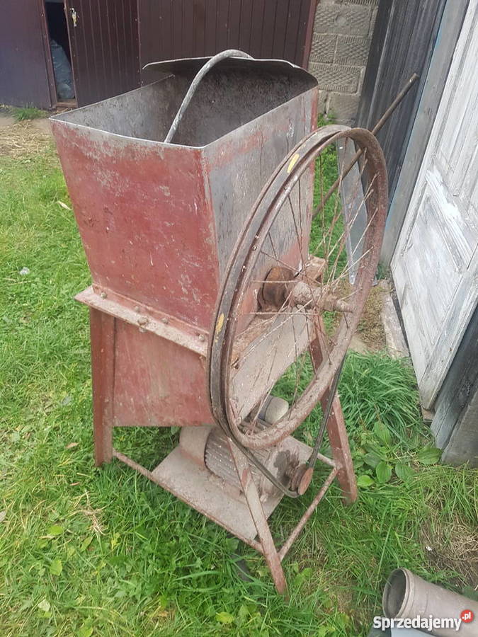 Buraczarka Dulcza Wielka