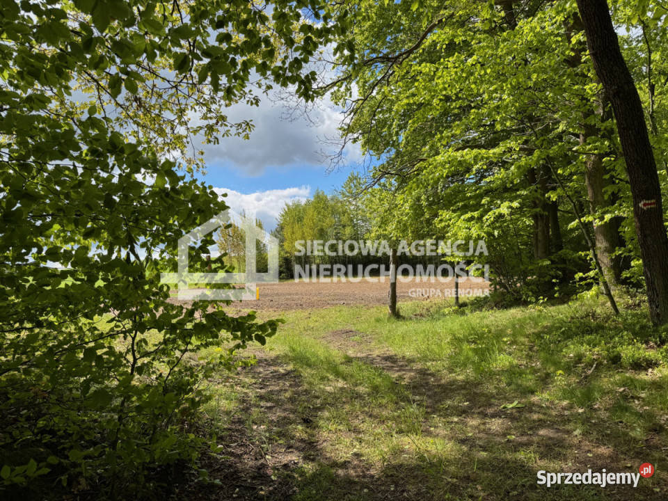 Działka do sprzedania Kosy 2000 metrów Kartuzy