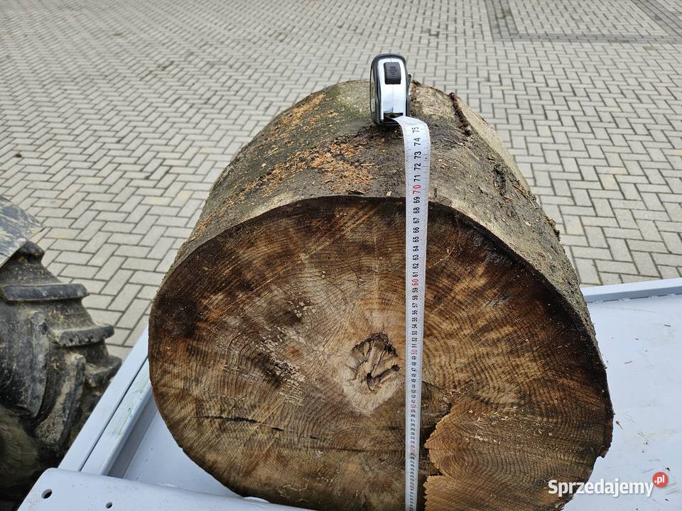 Łuparka do drzewa Pozostałe Jodłownik