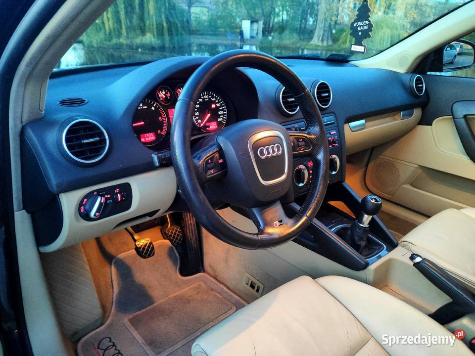 Audi A3 8P Sportback 20TDI 16V 140 manual Pleszew