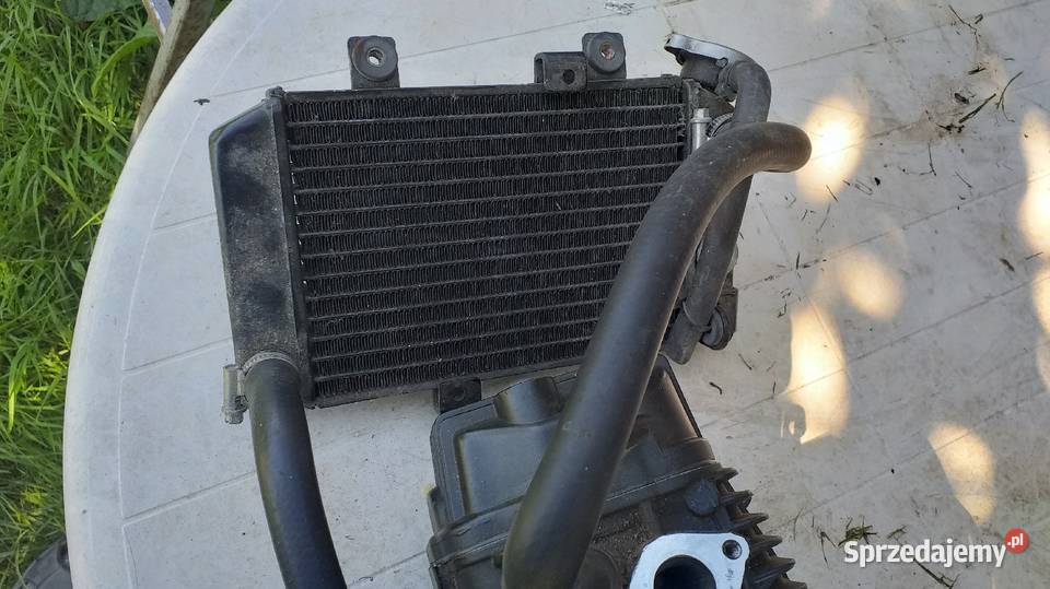 Silnik 4T 130ccm ciecz sprawny warmińsko-mazurskie Lidzbark Warmiński