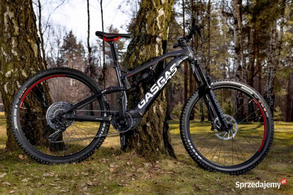 petarda waspiekne fule nowe Wrocław