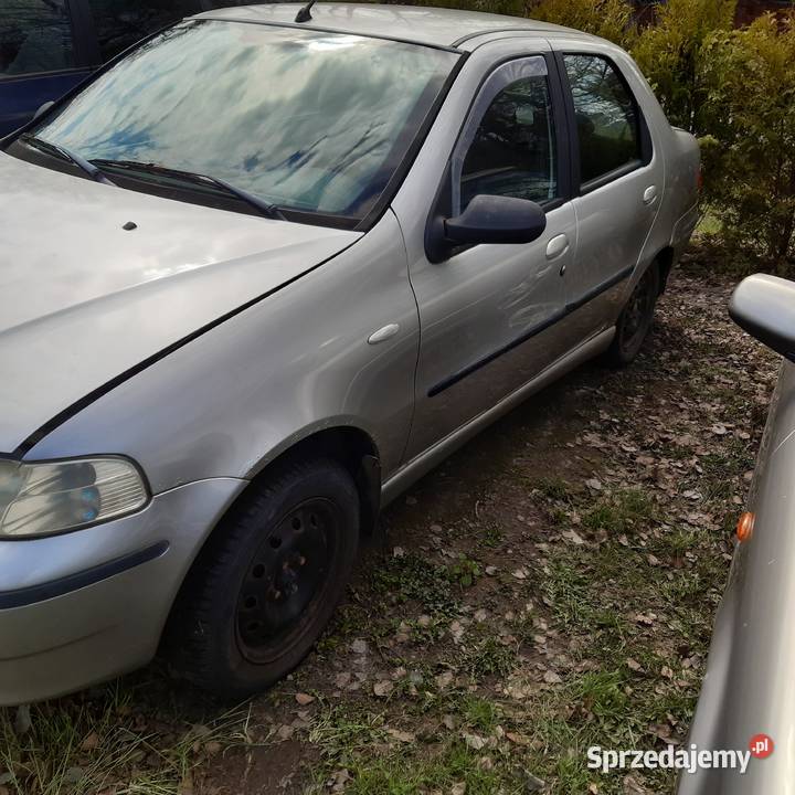 Fiat Albea 12 16v 03r całość części 1200cm3 Biała Podlaska