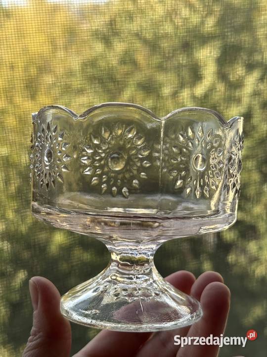 Pucharek stokrotki w nietypowym kolorze