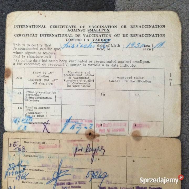 1419 Międzynarodowy Certyfikat Szczepień Szczecin