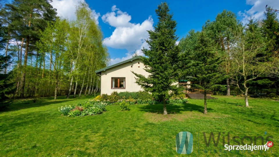 Sprzedaż działki Wiązowna 9130m2 sprzedam