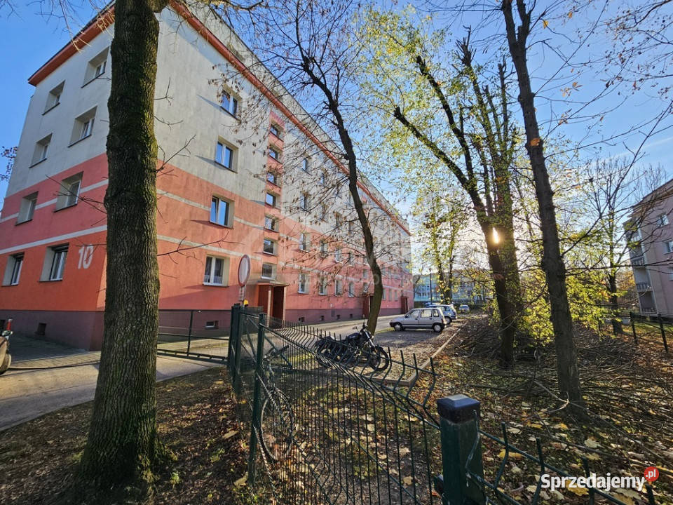 Mieszkanie 2 pokoje 4634 m Kielce Kadzielnia Rok budowy 1970 świętokrzyskie sprzedam