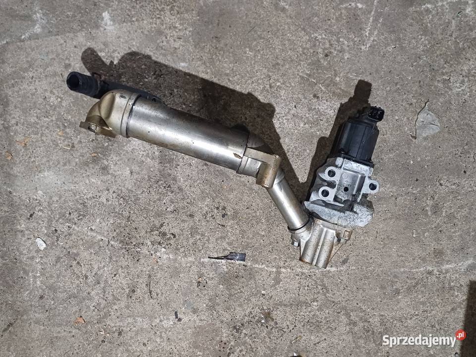 Kia Carnival 29 crdi egr Nowy Tomyśl