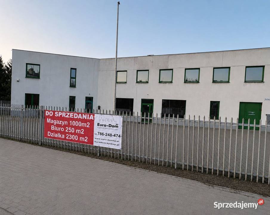 Magazyn z biurem trasie w Błoniu Błonie