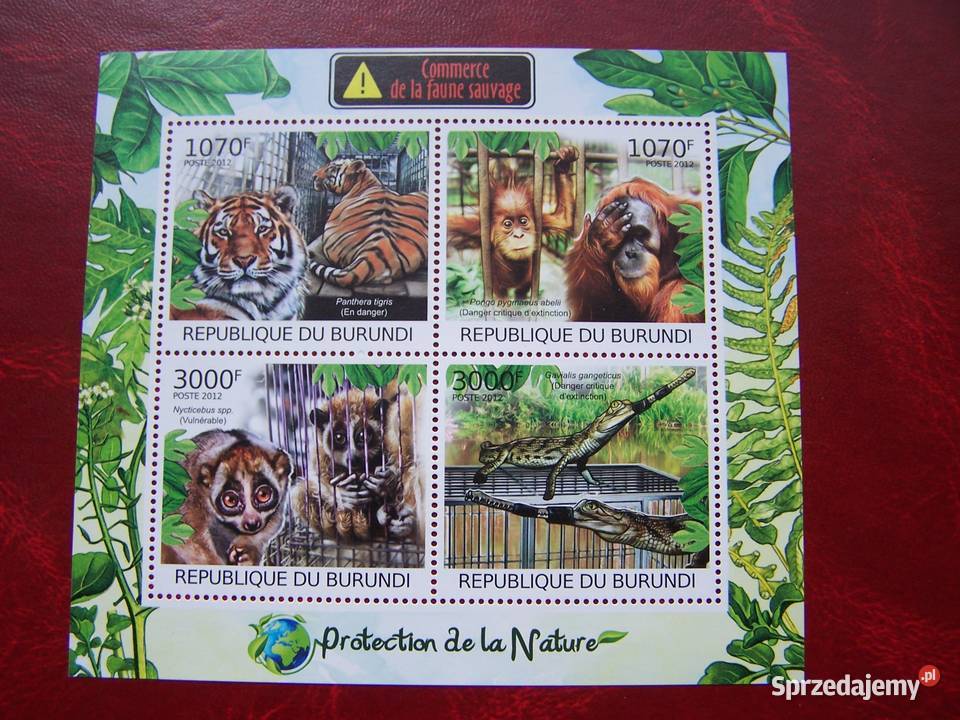 Burundi 2012 MNH Fauna Dzikie Zwierzęta Afryki Tychy