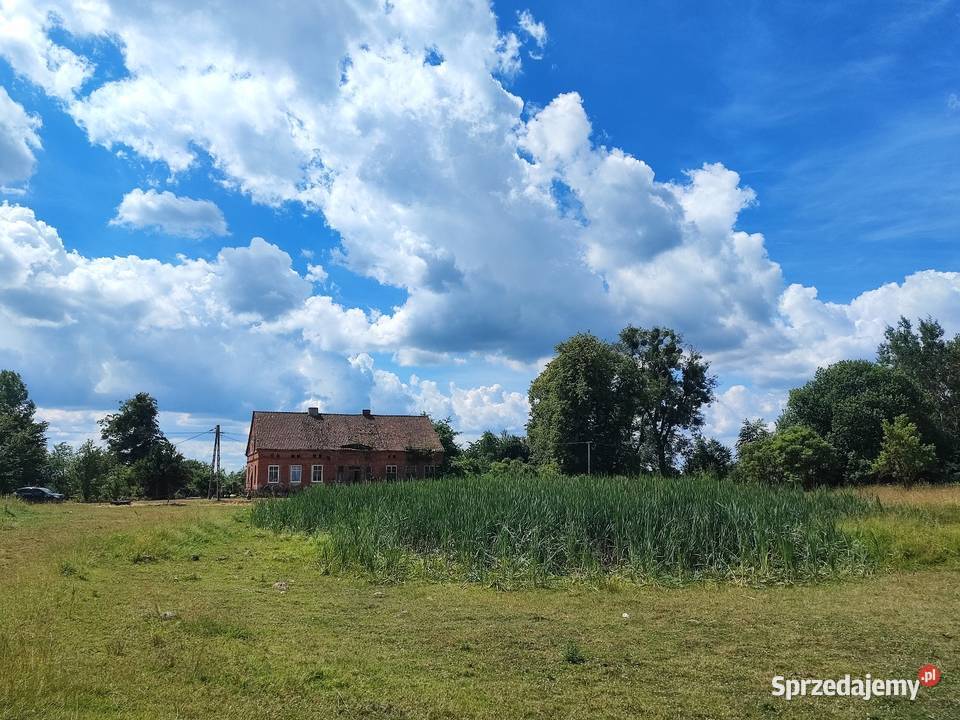 Siedlisko RADZIEJE mieszkanie 67 m2 działka