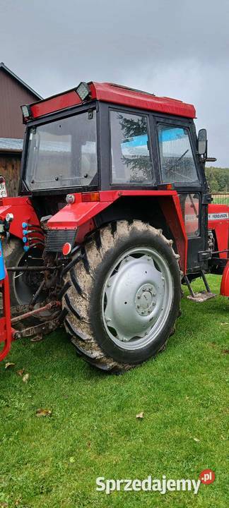 Ursus Massey Ferguson 255 MF Radzyń Podlaski