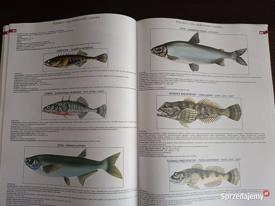 Polska encyklopedia wędkarsko turystyczna Warszawa