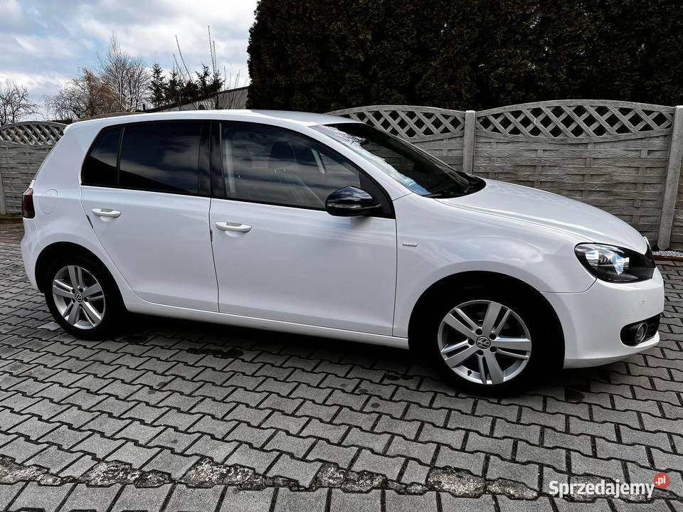 Volkswagen Golf VI 16 TDI Match manualna wielkopolskie