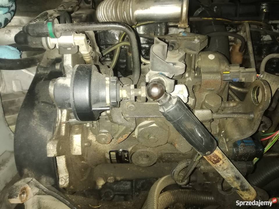 Pompa wtryskowa silnik 19dw8 Rok produkcji 2000