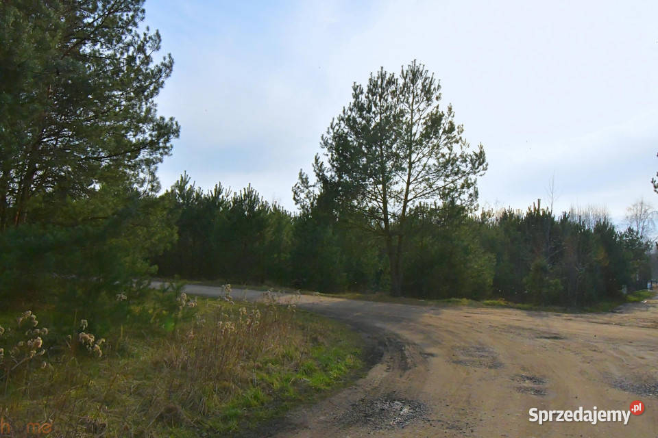 sprzedaży działki Miłoszyce 1197m2