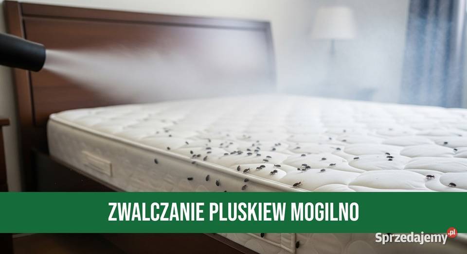 Zwalczanie Pluskiew Mogilno Odpluskwianie