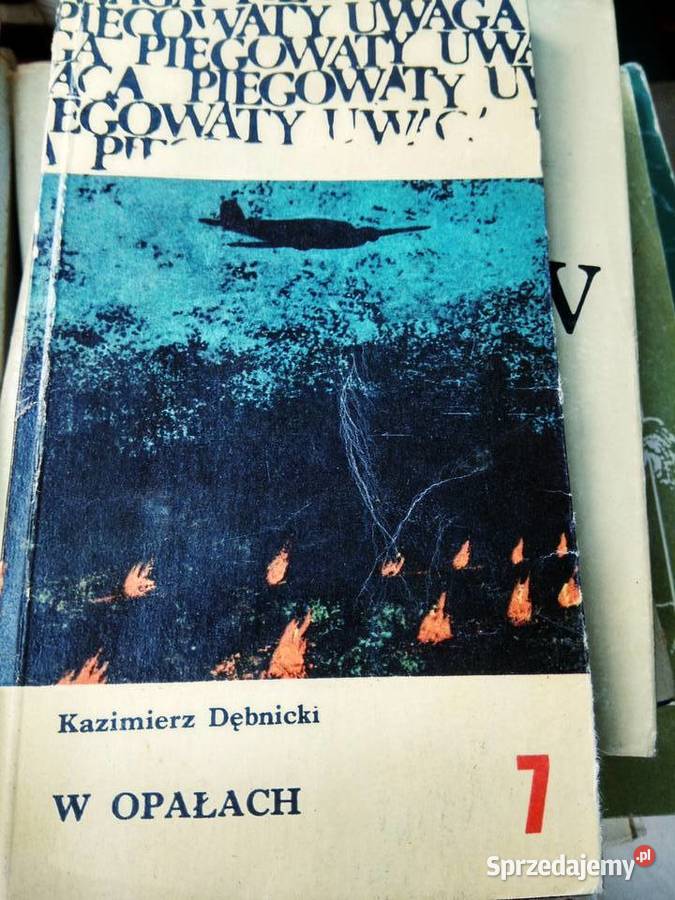 Dębnicka W opałach