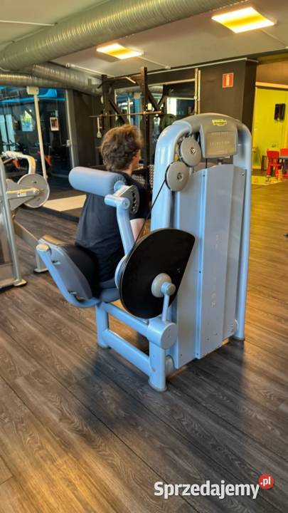 Zestaw maszyn Technogym Selection 17 sztuk Wałcz