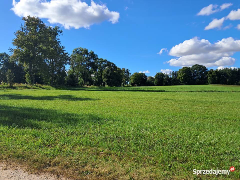 Działki Jezioraka idealne miejsce na dom Duba
