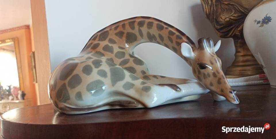 Żyrafa Lomonosov Figurka Leżąca Gdańsk