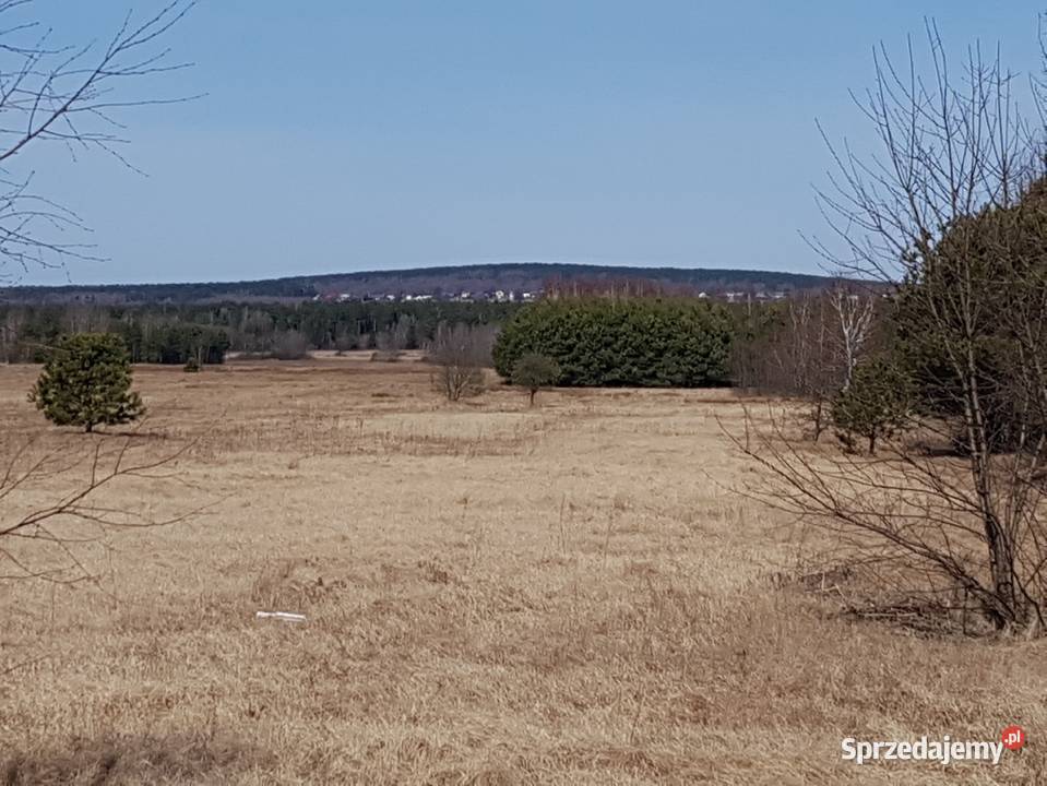 Gospodarstwo 33200m2 Dom Działk budowlane Las mazowieckie Warszawa