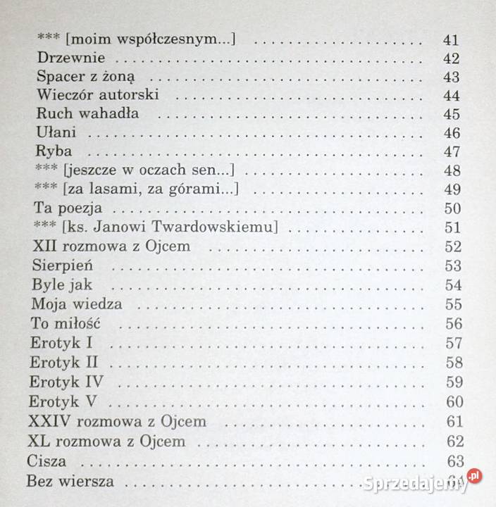 Malowanie czasu Jan Henryk Cichosz Rok wydania 1993 Chełm