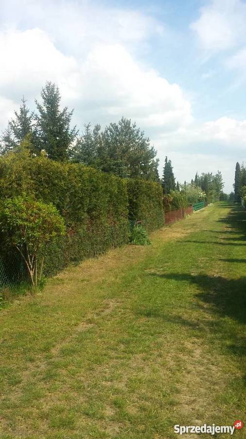 Działka Reakreacyjna325m ROD Pogodny Kalisz