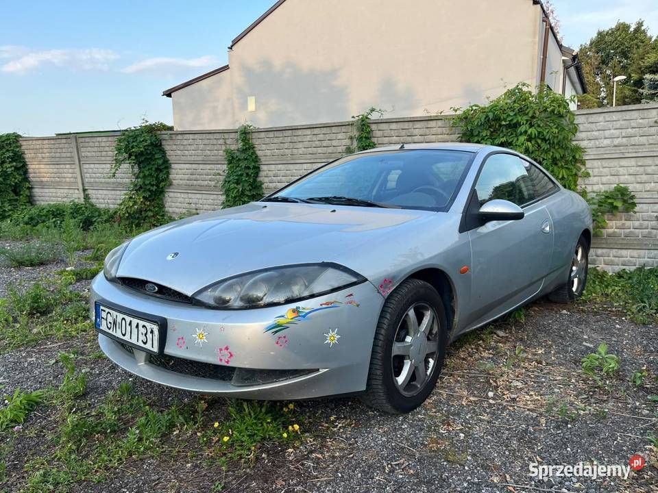 Ford cougar szuka nowej przygody Dawidy