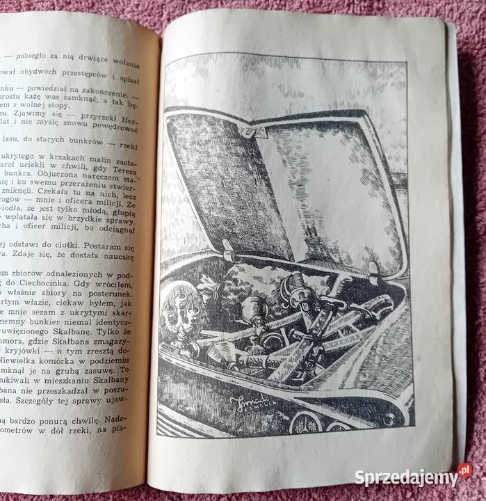 Zbigniew Nienacki Wyspa złoczyńców KZW 1983 r wielkopolskie Koźminek