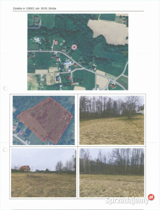 Syndyk sprzeda udział 23 w prawie własności 6504m2 Sprzedaż Stróże