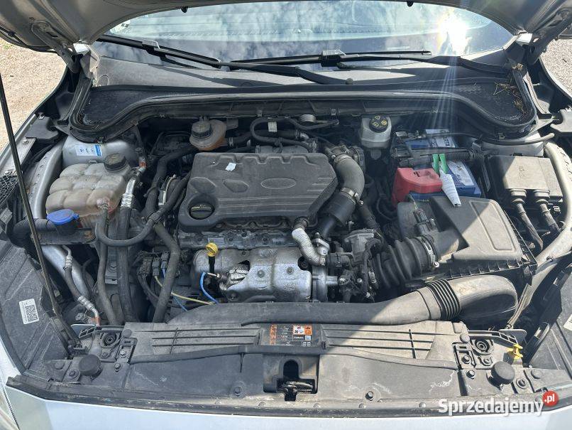FORD FOCUS MK4 htb 15 diesel ecoblue diesel Łódź sprzedam