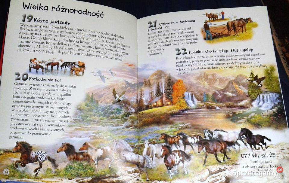 101 ciekawostek Konie Anais Puygrenier Pozostałe Chełm sprzedam