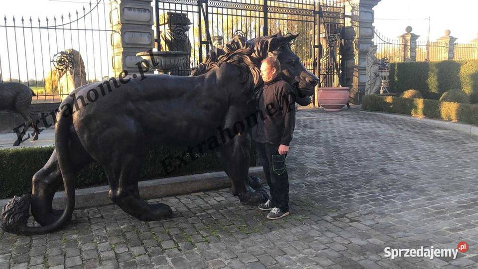 Lwy z brązu Lew z brązu Rzeźba Lwa z brązu Lwy zachodniopomorskie