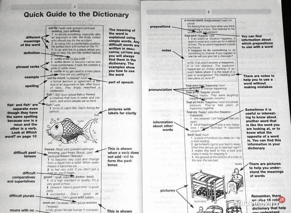 Longman Basic English Dictionary Rok wydania 2009 Chełm