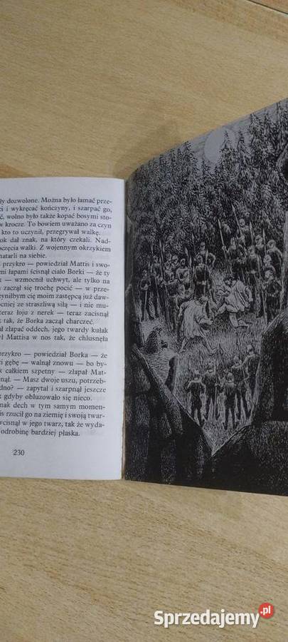 Ronja córka zbójnika lubelskie Lublin