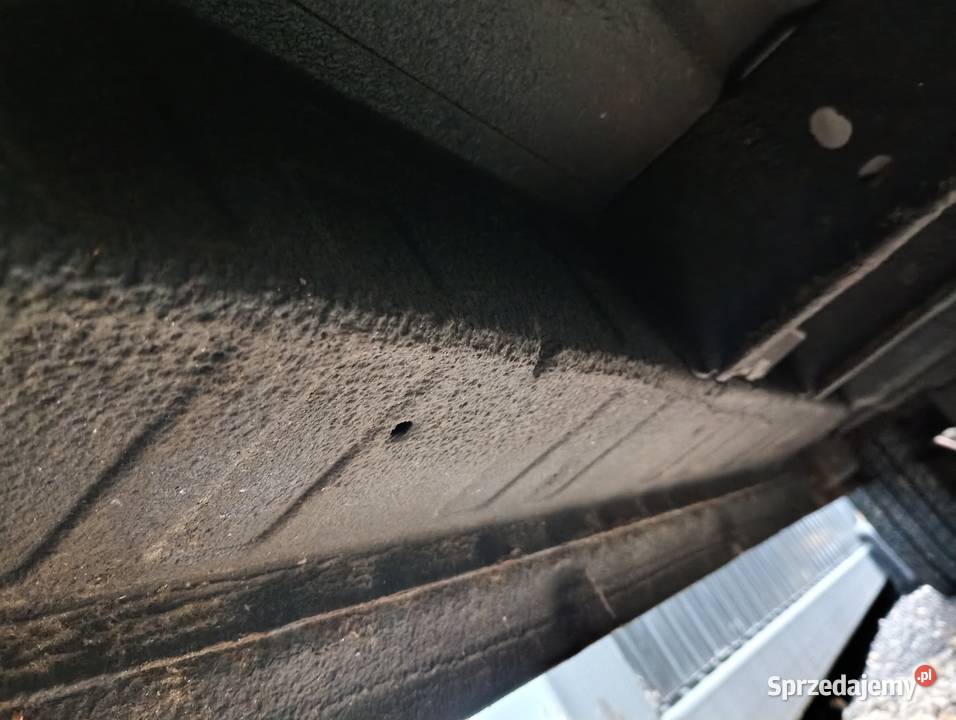 Ford Transit long 9os 20 125 Kamper bez rdzy nieuszkodzony łódzkie Łódź sprzedam