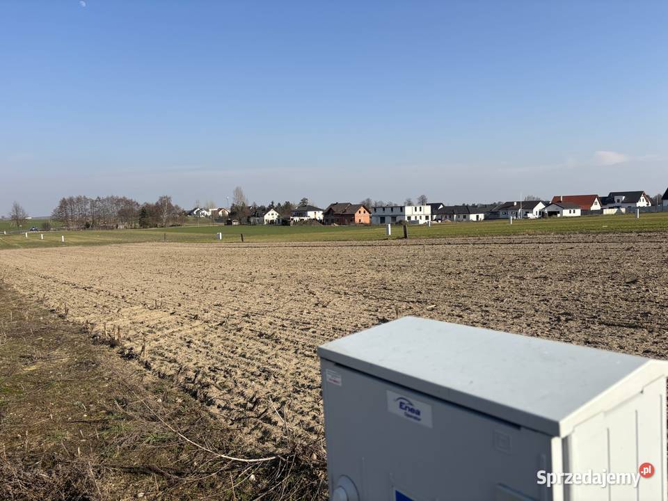 Niezwykła okazja działki w Święciechowie polna Sprzedaż Święciechowa