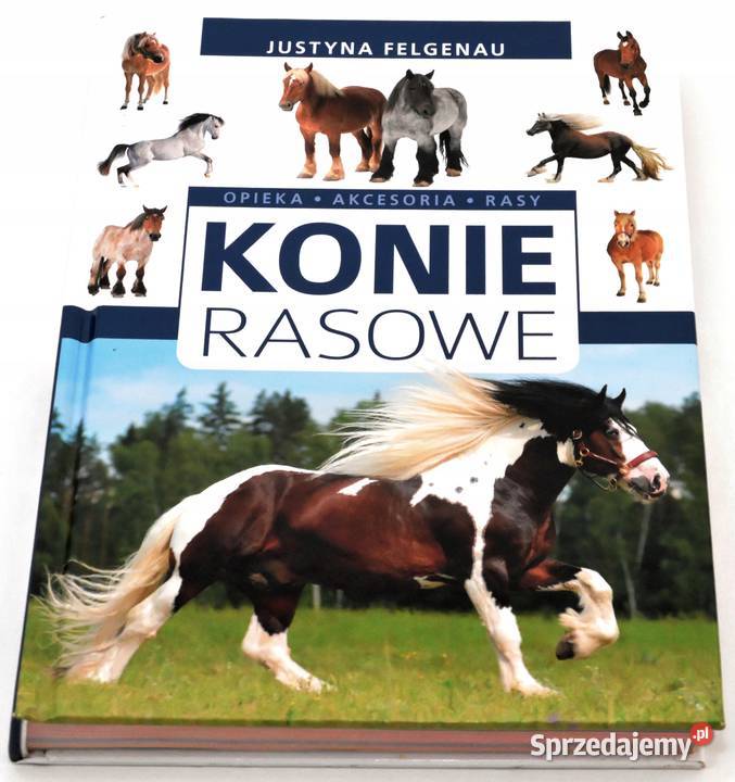 Konie rasowe Justyna Felgenau Bądkowo